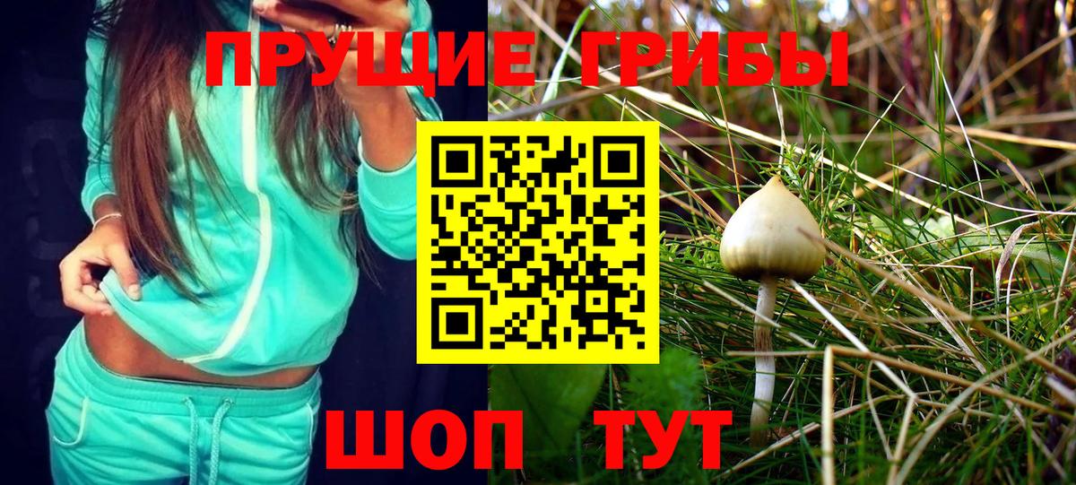 наркотики  Вход с VPN  Новокуйбышевск  Псилоцибиновые грибы GOLDEN TEACHER 