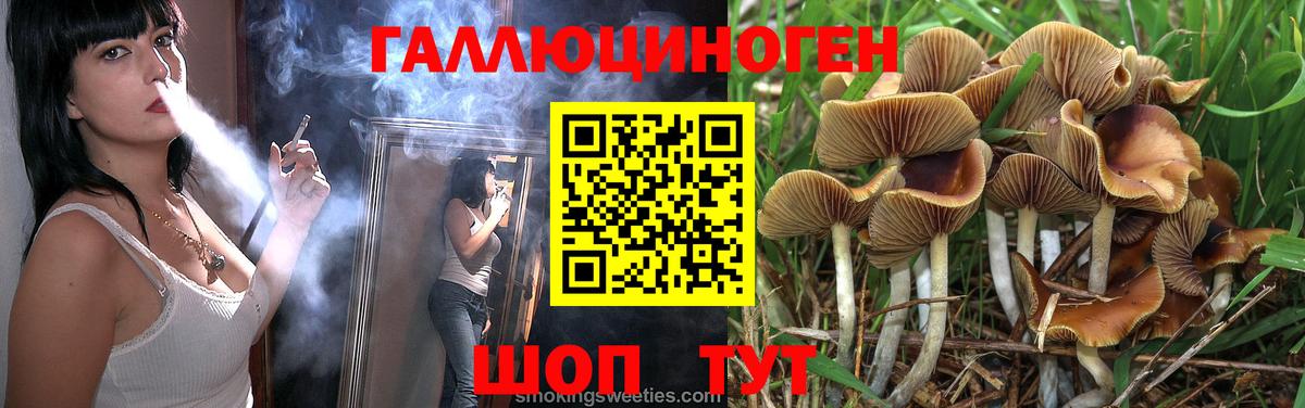 Галлюциногенные грибы Psilocybe Новокуйбышевск